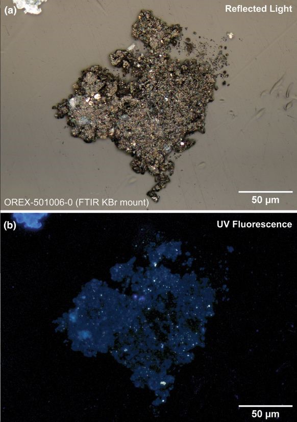 Enregistrements microscopiques de l'échantillon en lumière visible (a) et en fluorescence UV (B). La fluorescence bleue montre les carbonates et les phosphates. Les points blancs-jaunes sont des globules contenant des matières organiques. Source : Crédit : Lauretta et al. 2024.
