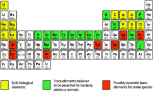 0.3 – Leefbare plekken: atomen en moleculen voor leven
