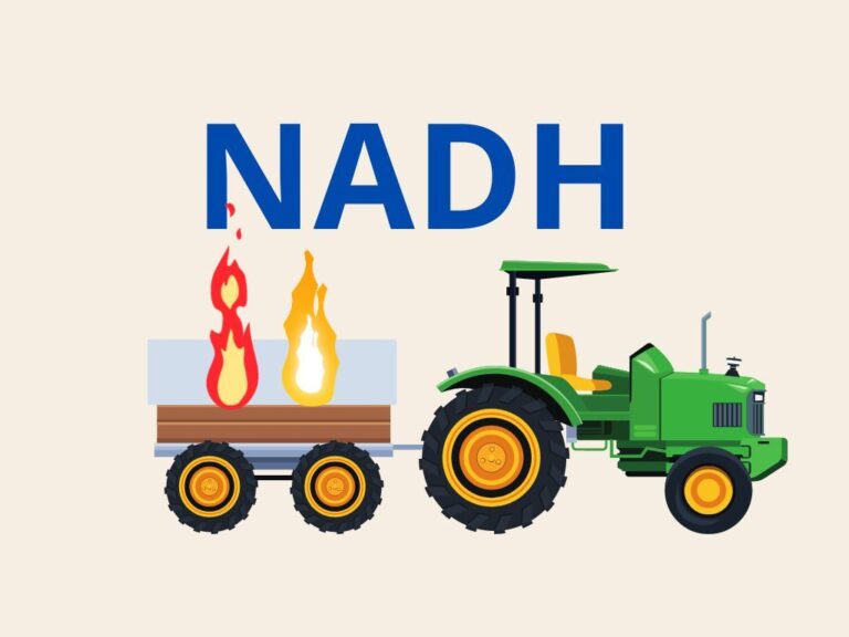 2.5. Redox kampioen NADH