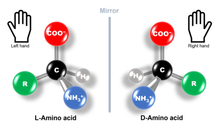 2.7. Andere universele levenskenmerken