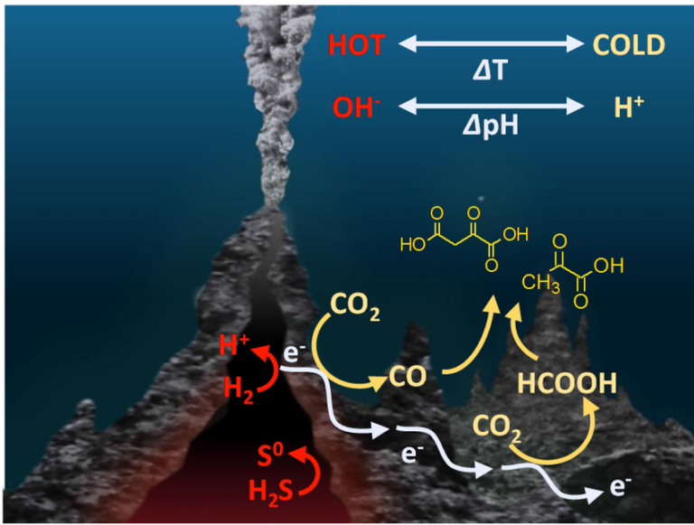 2.11. Vorming van organische bouwstenen